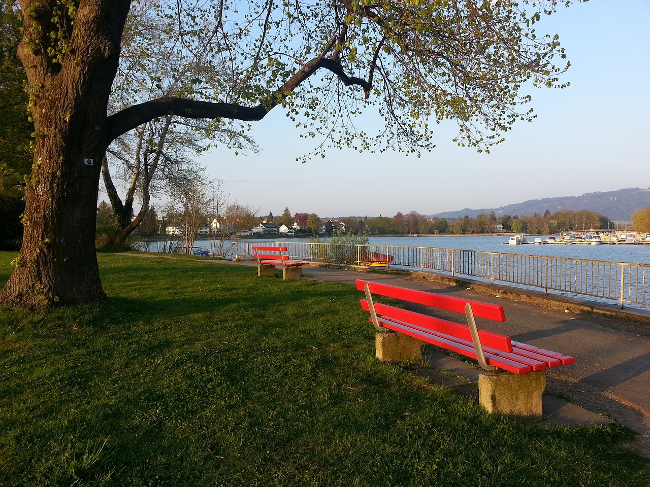 段积蓄力量 段积蓄力量