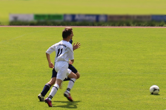 因长期专注 因长期专注