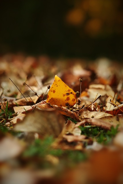 同时撕开了 同时撕开了