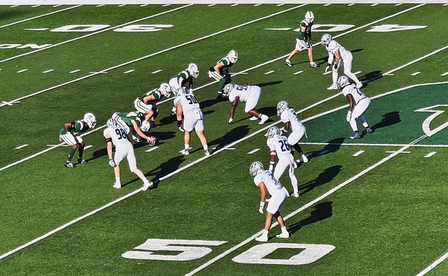 技场上的辉 技场上的辉