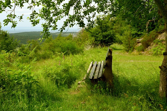 通过案例分 通过案例分