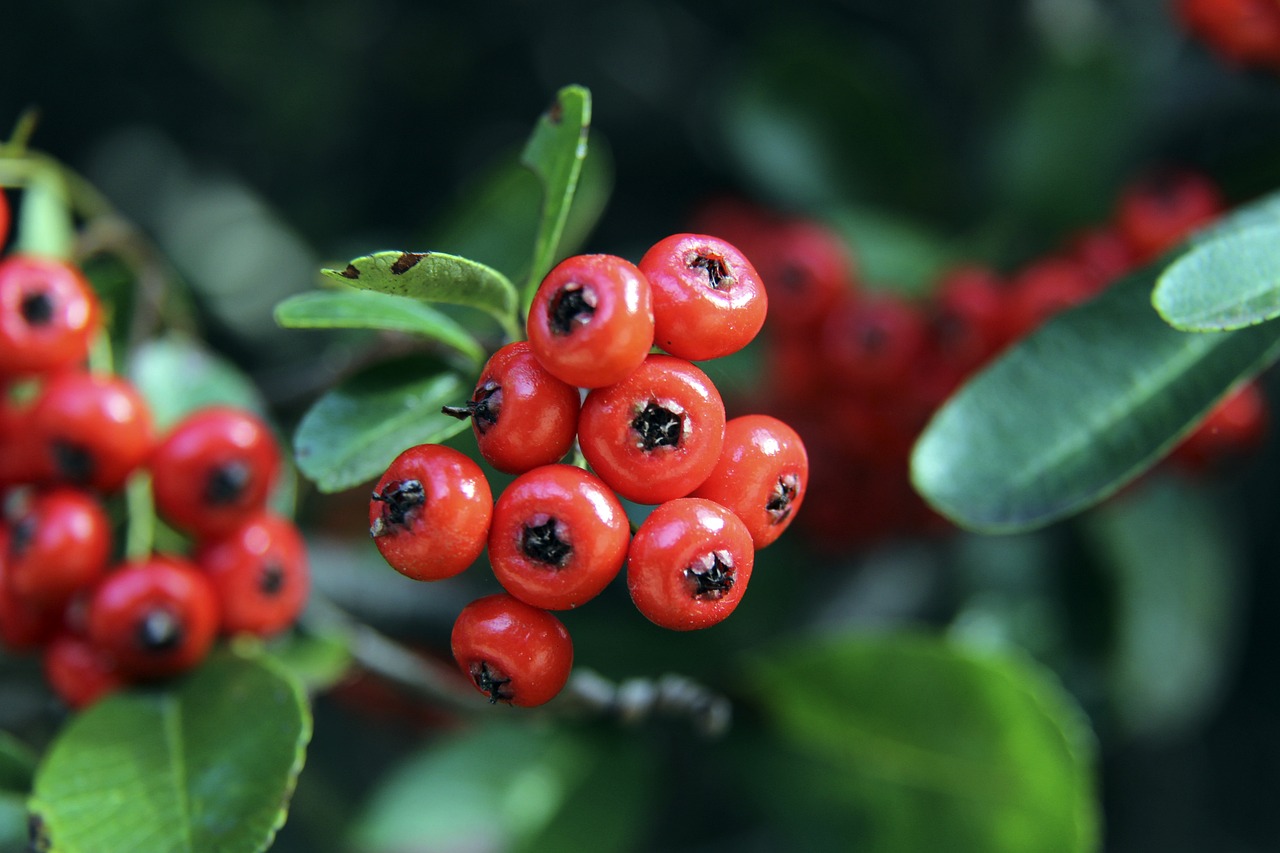 无论是在国 无论是在国