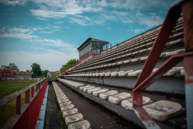 一个鲜明的 一个鲜明的